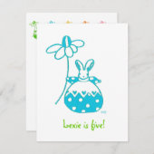 Aqua Daisy Bunny verjaardaguitnodiging Kaart (Voorkant / Achterkant)