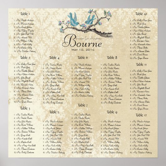 Aqua en Roze vogels op een vertakkingskaart Poster (Voorkant)