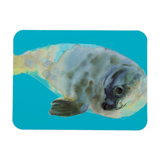 Aqua Green Magneet (Horizontaal)