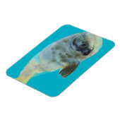 Aqua Green Magneet (Linkerzijde)