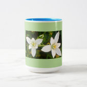 Aqua Green Spring Time Tweekleurige Koffiemok (Center)