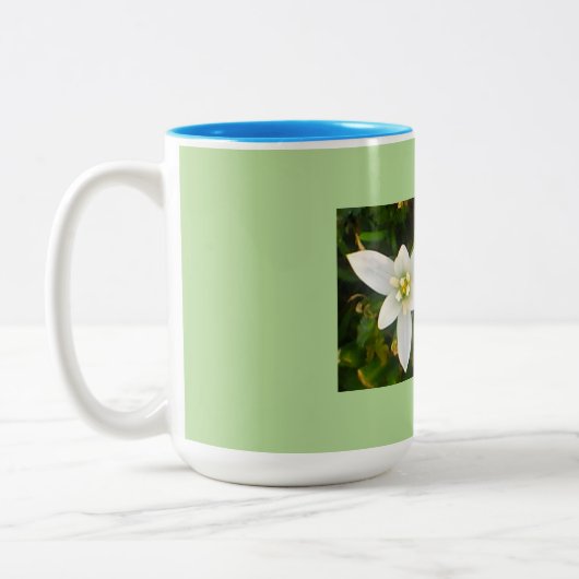 Aqua Green Spring Time Tweekleurige Koffiemok (Links)
