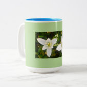 Aqua Green Spring Time Tweekleurige Koffiemok (Voorkant links)