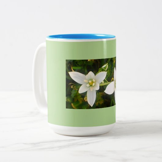 Aqua Green Spring Time Tweekleurige Koffiemok (Voorkant links)