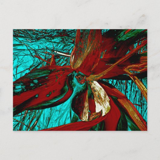 Aqua Husk Briefkaart (Voorkant)