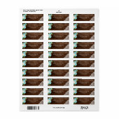 Aqua Mint Rustic Wood String Lights Floral Adres Etiket (Full Sheet)