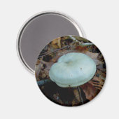 Aqua Mushroom Magnet (Voorkant / Achterkant)