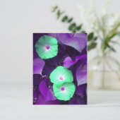 Aqua N Violet Morning Glory briefkaart (Staand voorkant)