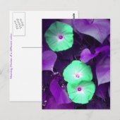 Aqua N Violet Morning Glory briefkaart (Voorkant / Achterkant)