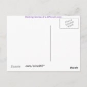 Aqua N Violet Morning Glory briefkaart (Achterkant)