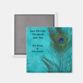 Aqua Peacock Feathers Weddenschap Magnets Magneet (Voorkant / Achterkant)
