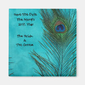 Aqua Peacock Feathers Weddenschap Magnets Magneet (Voorkant)