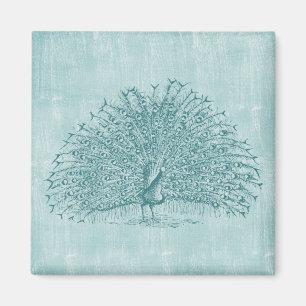Aqua Peacock Magneet