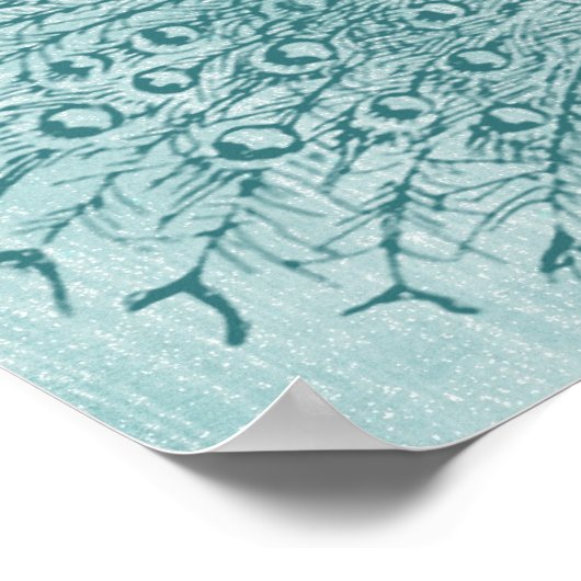 Aqua Peacock Poster (Hoek)