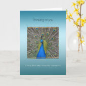 Aqua Peacock prachtige momenten Kaart (Gele Bloem)