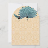 Aqua Peacocks U kiest achtergrondkleur Kaart (Achterkant)