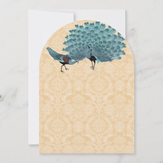 Aqua Peacocks U kiest achtergrondkleur Kaart (Achterkant)