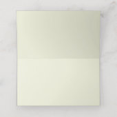 Aqua & Red Party Place-kaarten Plaatskaartje (Binnenkant ongevouwen)