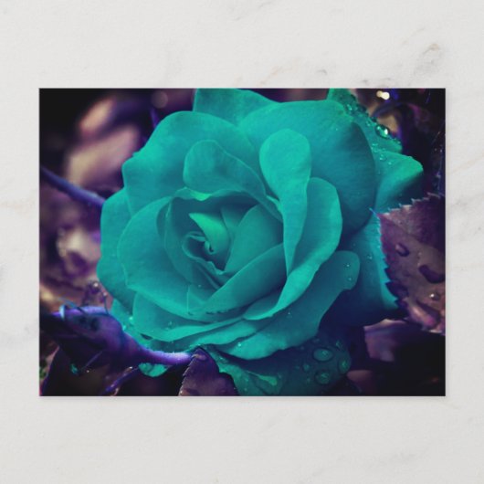 Aqua Rose Flower Personalized Briefkaart (Voorkant)