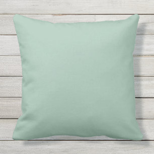 Aqua Sage Color Matched Outdoor Pillow Buitenkussen