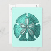 Aqua Sand Dollar Briefkaart (Voorkant / Achterkant)
