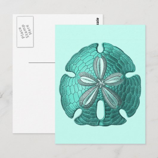 Aqua Sand Dollar Briefkaart (Voorkant / Achterkant)