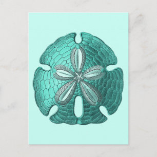 Aqua Sand Dollar Briefkaart