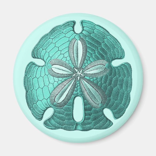 Aqua Sand Dollar Magneet (Voorkant)