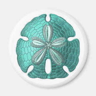 Aqua Sand Dollar Magneet