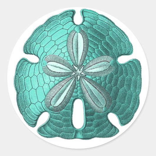 Aqua Sand Dollar Ronde Sticker (Voorkant)