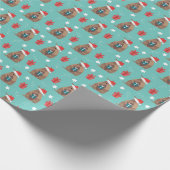 Aqua Santa Armadillo met Cadeaupatroon Cadeaupapier (Hoek)