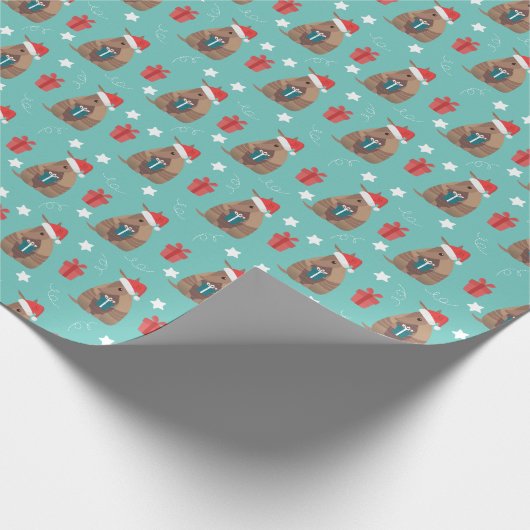 Aqua Santa Armadillo met Cadeaupatroon Cadeaupapier (Hoek)