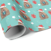 Aqua Santa Armadillo met Cadeaupatroon Cadeaupapier (Rol Hoek)