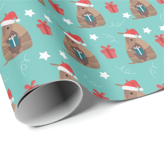Aqua Santa Armadillo met Cadeaupatroon Cadeaupapier (Rol Hoek)