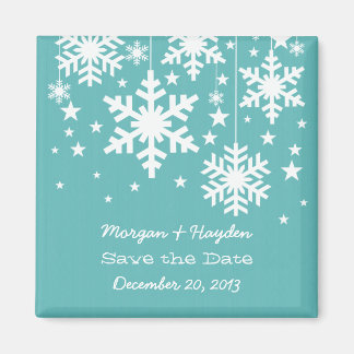 Aqua Snowflakes en sterren sparen de Magnet van de