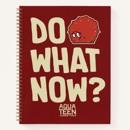 Aqua Teen Hunger Force Meatwad "Do What Now?" Notitieboek (Voorkant)