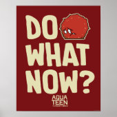 Aqua Teen Hunger Force Meatwad "Do What Now?" Poster (Voorkant)