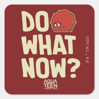 Aqua Teen Hunger Force Meatwad "Do What Now"? Vierkante Sticker