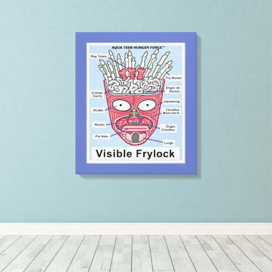 Aqua Teen Hunger Force Visible Frylock Poster Canvas Afdruk (Insitu (Houten vloer))