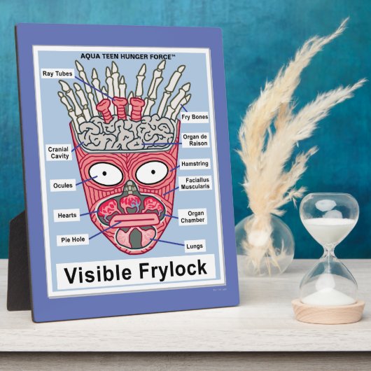 Aqua Teen Hunger Force Visible Frylock Poster Fotoplaat (Zijkant)