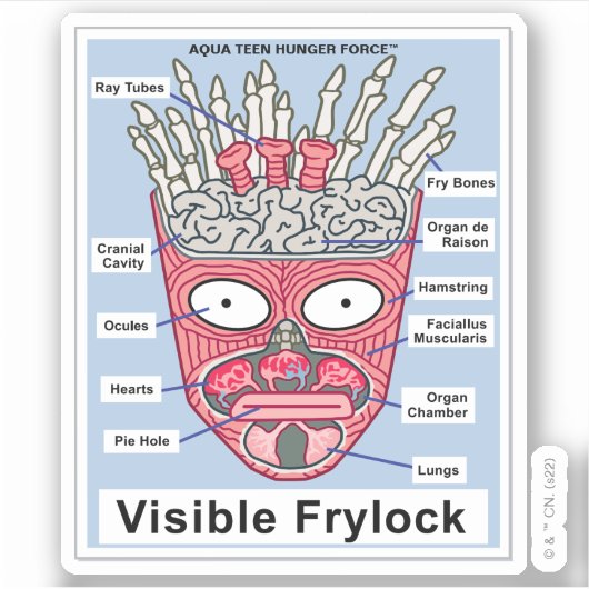 Aqua Teen Hunger Force Visible Frylock Poster Sticker (Voorkant)
