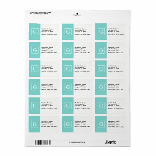 Aqua Turquoise White Framed Initiaal Monogram Etiket (Full Sheet)