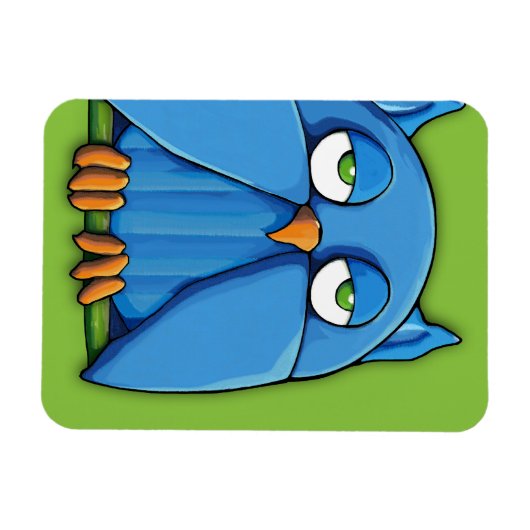 Aqua Uil groene Premium Magnet Magneet (Horizontaal)