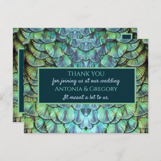 Aqua Vibrant Pauw bruiloft Dank u Briefkaart (Voorkant / Achterkant)