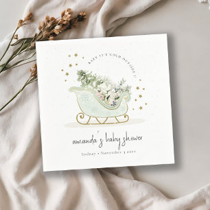 Aqua Winter Sleigh zijn koude buitenste Baby showe Servet