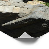 Aquadult van Segovia, Spanje Poster (Hoek)