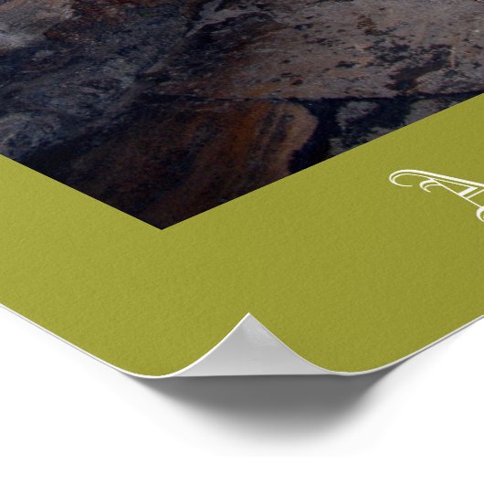 Aquae Sulis at Bath England Poster (Hoek)