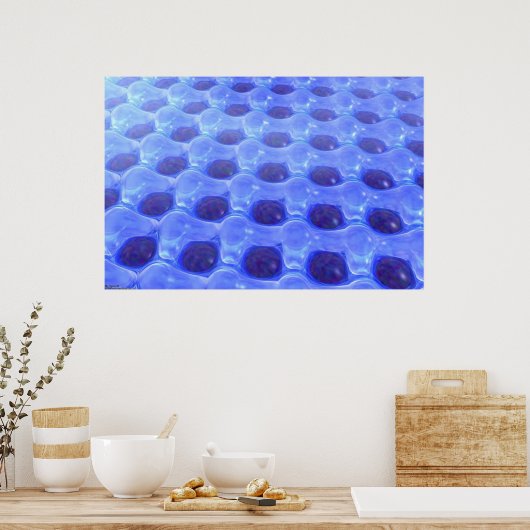 Aquafun Poster (Keuken)