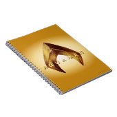 Aquaman | Golden Aquaman Logo Notitieboek (Rechterzijde)