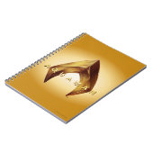 Aquaman | Golden Aquaman Logo Notitieboek (Linkerzijde)